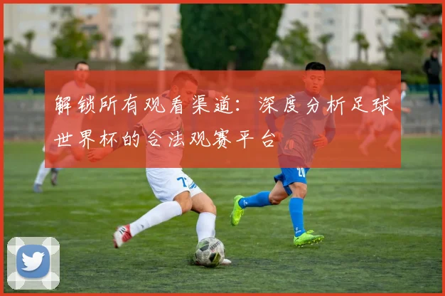 解锁所有观看渠道：深度分析足球世界杯的合法观赛平台